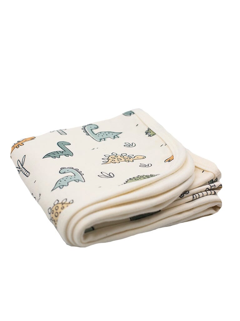 Aden and anais dinosaur dream blanket best sale