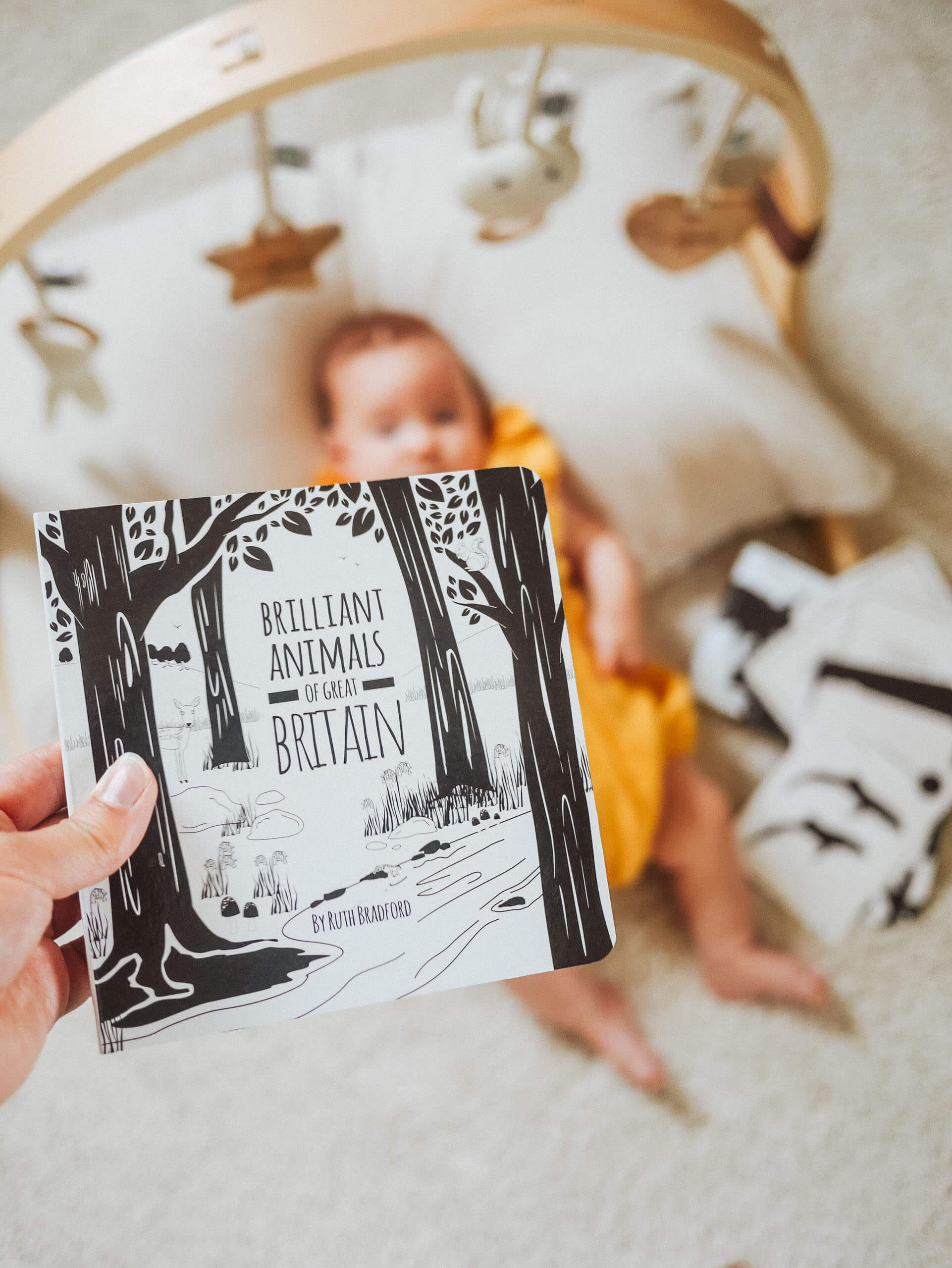 High Contrast Baby Books & Flash Cards