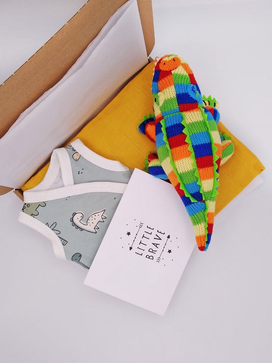 Colourful Dino Gift Box - Incubator Vest, Toy & Muslin Gift Set Tiny & Small 