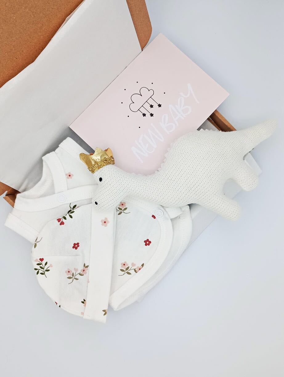 Coronation Themed Baby Gift Box - Incubator Vest, Round Hat, Diplodocus with Crown and Card Gift Set Little Mouse Baby Clothing & Gifts 