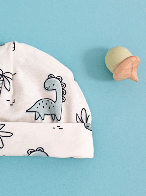 Preemie Round Hat, Dino Buddies Hat Tiny & Small 