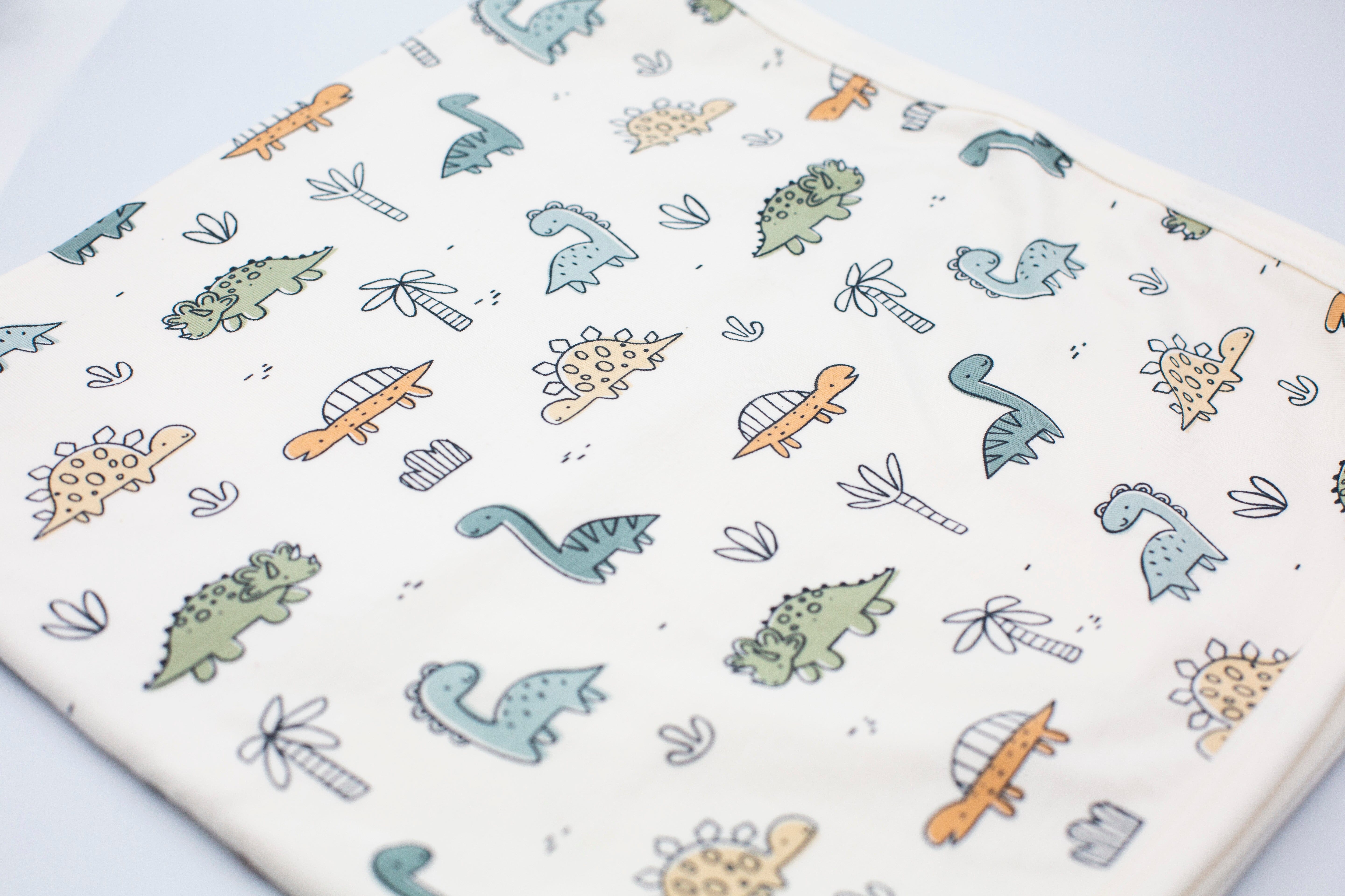 Baby Blanket, Dinosaurs Print Blanket Tiny & Small 