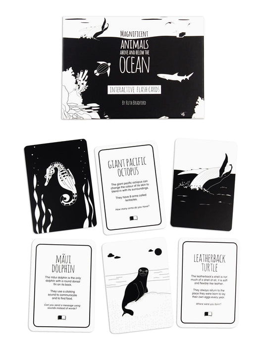 High Contrast Baby Flash Cards - Ocean Animals Book The Little Black & White Book Project 