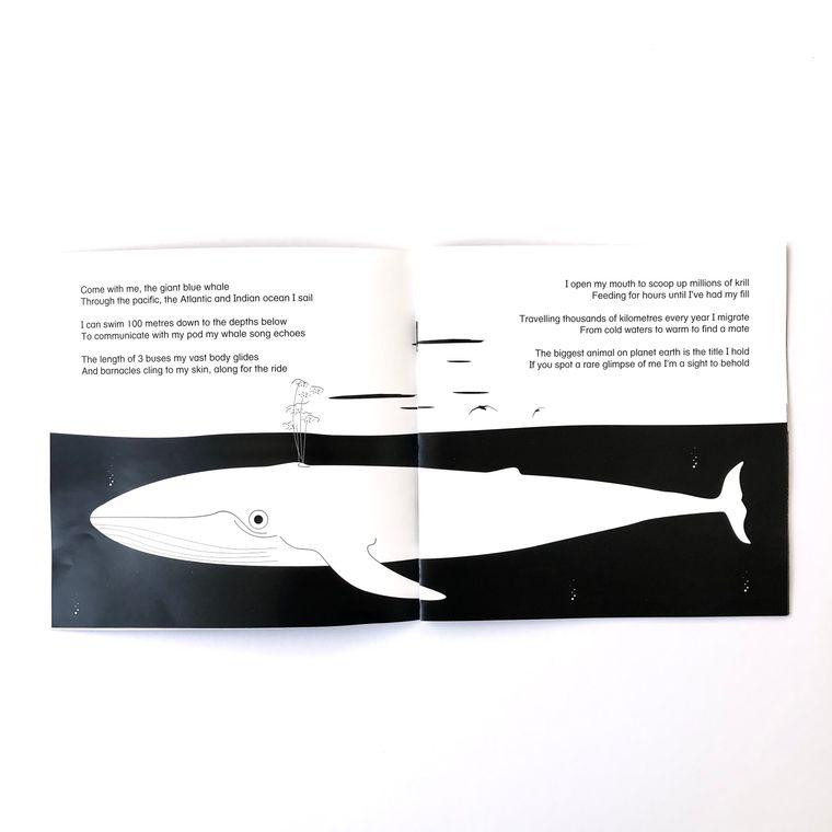 Come Dive With Me storybook Book The Little Black & White Book Project 