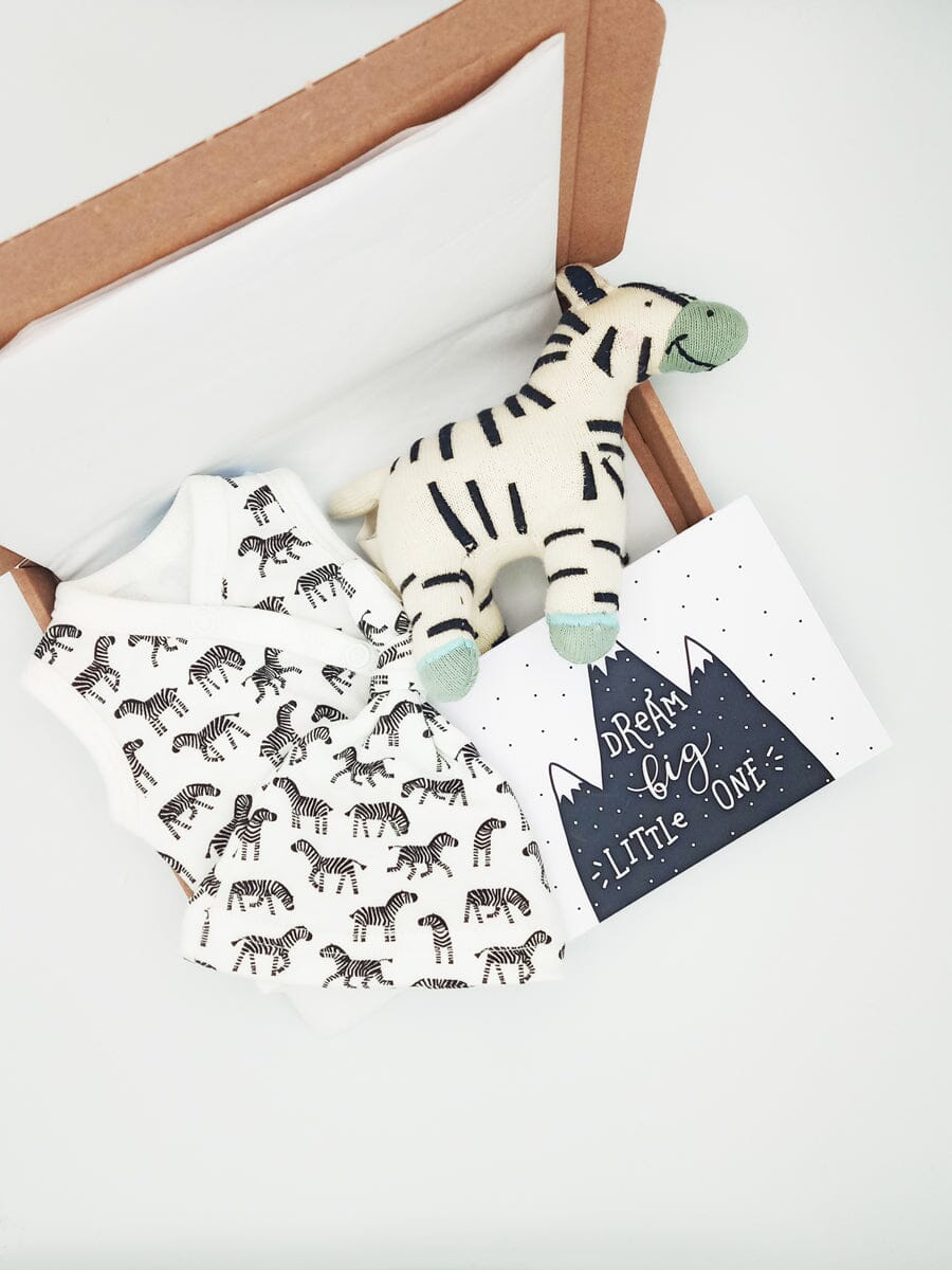 Zebra Baby Gift Box - Incubator Vest, Knotted Hat, Toy & Card Gift Set Little Mouse Baby Clothing & Gifts 